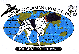 Logo Logo